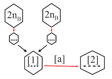 Hình mô tả một con đường hình thành loài nào sau đây là đúng?   (ảnh 1)