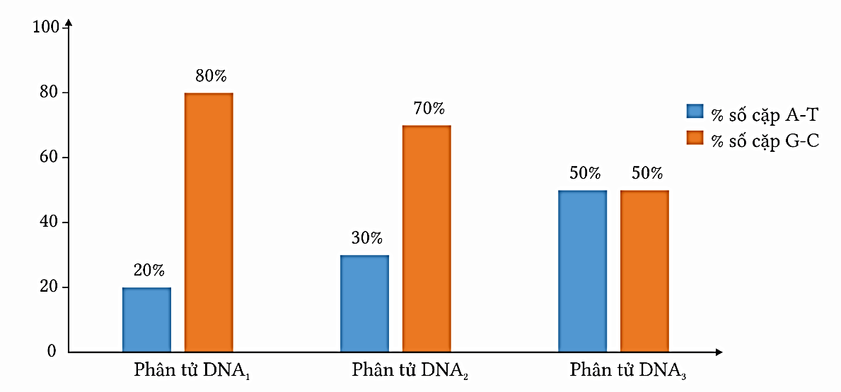 Hình bên mô tả % số lượng cặp A-T và G-C trong phân tử DNA, hãy cho biết phân tử DNA nào có nhiều số liên kết hidrogen nhất trong số ba phân tử?   (ảnh 1)