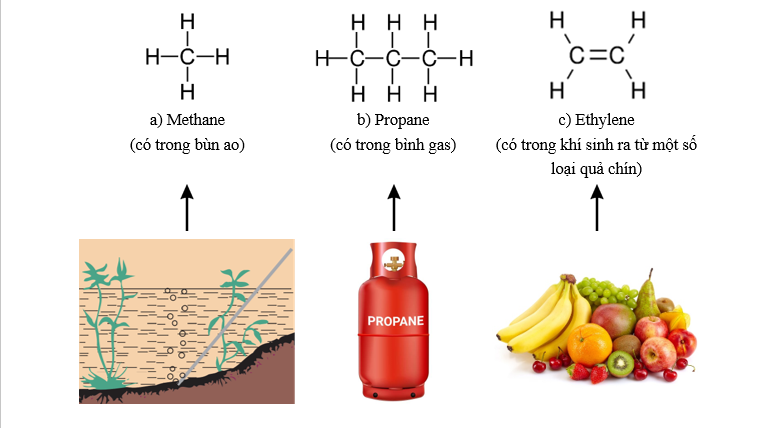 a) Nhận xét đặc điểm chung về thành phần nguyên tố của ba chất trên. (ảnh 1)