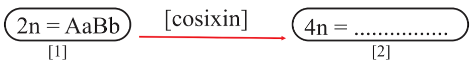 Nhận định sau đây về hình này là Sai? (ảnh 1)