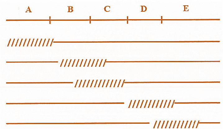 Trong các phát biểu sau, phát biểu nào về trình tự operon trên là đúng?	 (ảnh 1)