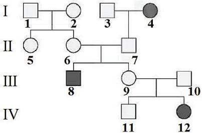 Có bao nhiêu người trong gia đình chắc chắn mang kiểu gen dị hợp? (ảnh 1)