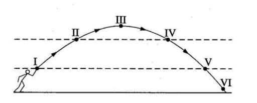 Chọn câu đúng. (ảnh 1)