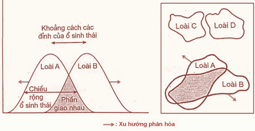 Phát biểu nào dưới đây không đúng? (ảnh 1)