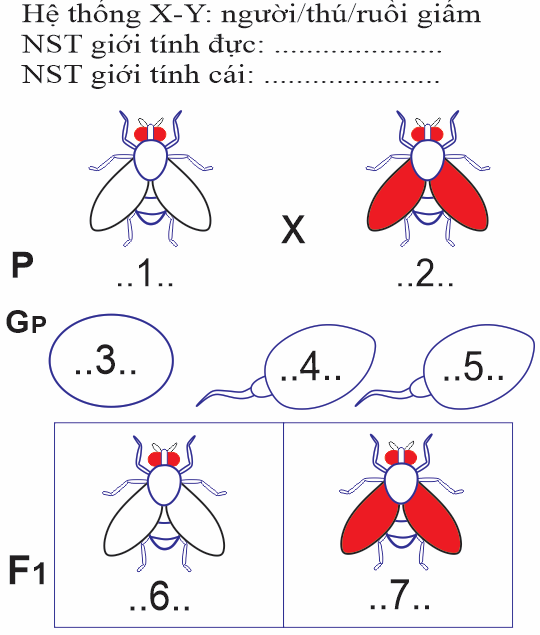 Theo sơ đồ, phát biểu nào sao đây Sai? (ảnh 1)