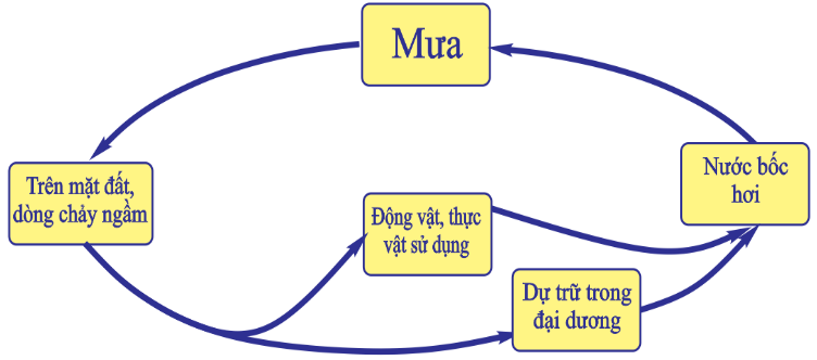 Mỗi nhận định sau đây là Đúng với chu trình? (ảnh 1)