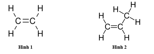 Hãy viết công thức phân tử và công thức cấu tạo thu gọn của các alkene ở hình sau: (ảnh 1)