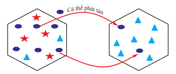 Hình ảnh mô tả ảnh hưởng của một nhân tố tiến hóa nào?   (ảnh 1)