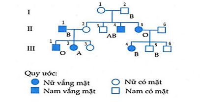 Hỏi trong gia đình nạn nhân nên đưa ai đi truyền máu cho cụ bà (số I.1 trong phả hệ) là thích hợp và nhanh  nhất?  (ảnh 1)