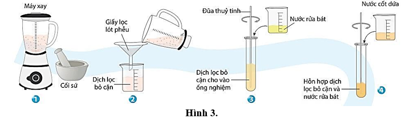 Bước số mấy trong Hình 3 giúp tách protein histone ra khỏi DNA?   (ảnh 1)