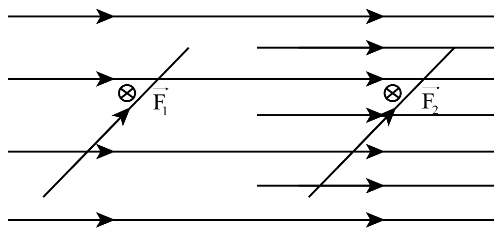 Nhận xét nào về độ lớn hai lực F1 và lực F2 là đúng? (ảnh 1)