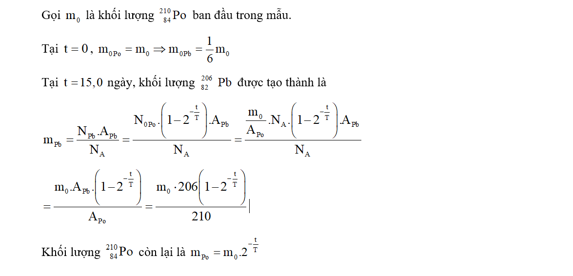 Xác định tỉ lệ khối lượng của  và  có trong mẫu sau đó 15,0 ngày. (Kết quả lấy hai chữ số sau dấu phẩy thập phân). (ảnh 1)