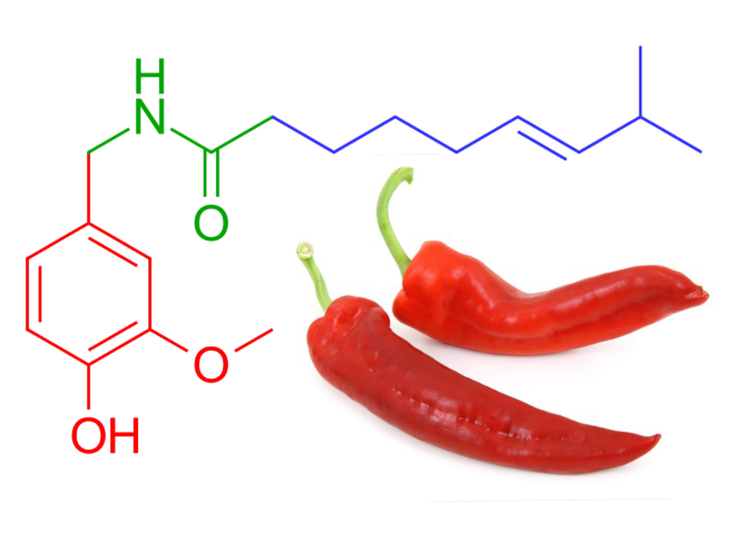 Công thức phân tử của Capsaicin là (ảnh 1)