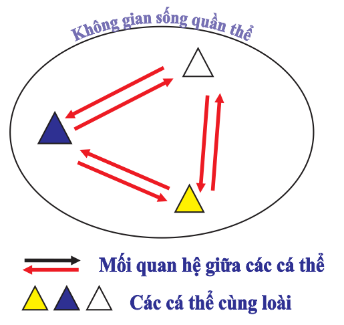 Hình dưới đây mô tả tổ chức sống nào sau đây?  	 (ảnh 1)