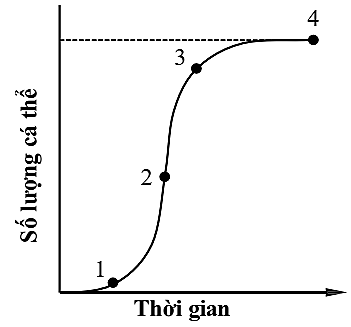 Theo lí thuyết, tốc độ tăng trưởng của quần thể đạt cao nhất ở vị trí nào? (ảnh 1)