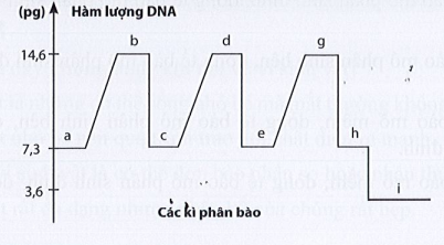 Giai đoạn g thuộc (ảnh 1)