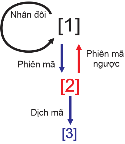 Nhận định sau đây là Sai về hình này? (ảnh 1)