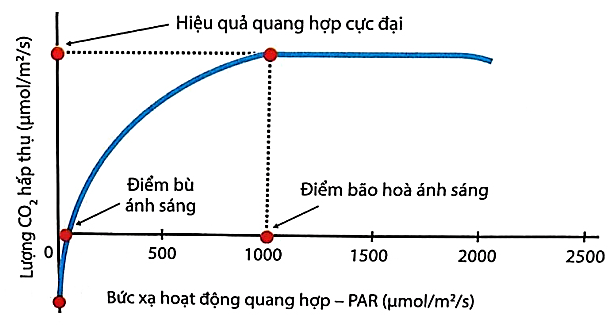 Nhận định sau đây về đồ thị này là đúng? (ảnh 1)