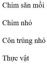 Tháp số lượng nào sau đây phù hợp cho chuỗi thức ăn này? (ảnh 1)