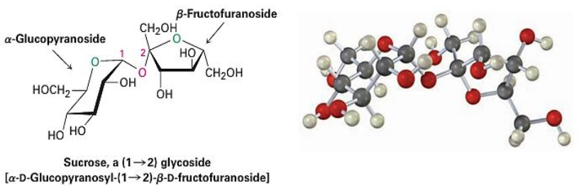 Trong các đường saccharose, maltose, glucose, fructose, đường không có tính khử là 	 (ảnh 1)