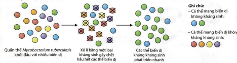 Nhận định nào sau đây đúng?  (ảnh 1)