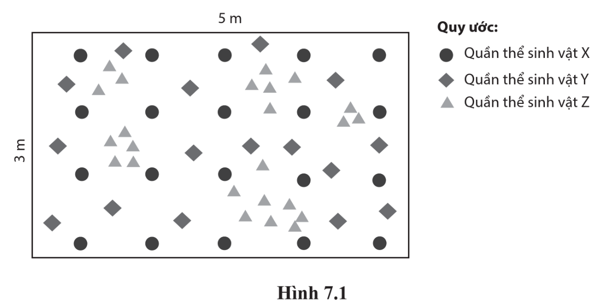 Biết mỗi kí hiệu tương ứng với 1 cá thể. Quần thể nào có mật độ quần thể thấp nhất? (ảnh 1)