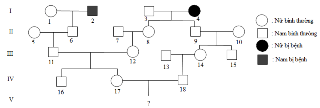 Theo lí thuyết, xác suất để cặp bố mẹ IV17 - IV18 sinh một đứa con gái đầu lòng bình thường, con trai sau bị bệnh là bao nhiêu? (ảnh 1)