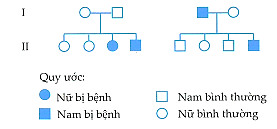 miêu tả nào là đúng, biết người con đầu dòng tính thứ hai (ảnh 1)