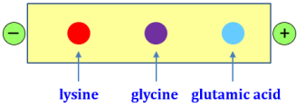 Trong các giá trị pH cho dưới đây, giá trị nào là tối ưu nhất để tách ba chất trên ra khỏi dung dịch hỗn hợp của chúng? (ảnh 1)