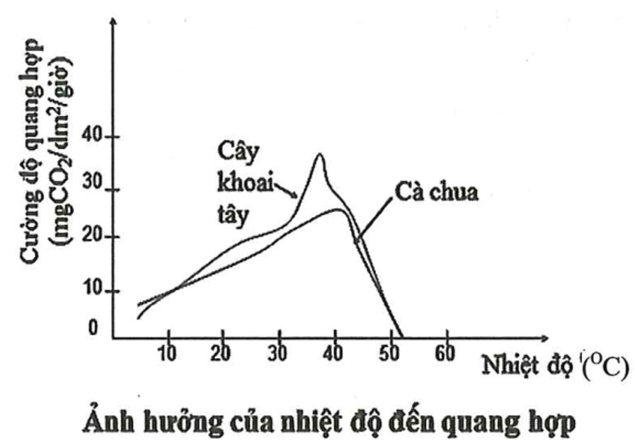 Dựa vào hình ảnh xác định phát biểu nào sau đây là đúng? (ảnh 1)