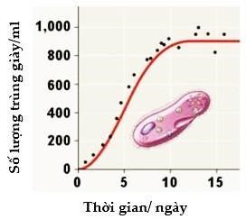 Có bao nhiêu phát biểu sau đây đúng về thí nghiệm này? (ảnh 1)