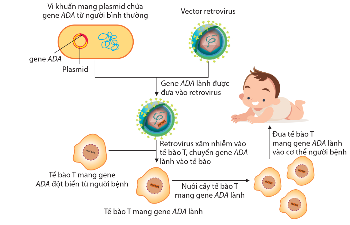 Các số 1, 2 và 3 trong hình 4.1 tương ứng là: (ảnh 2)