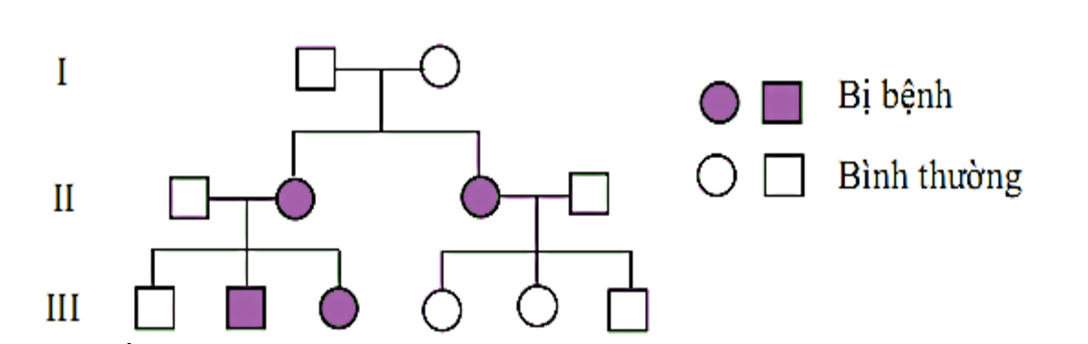 Sơ đồ phả hệ của một gia đình sau đây bị bệnh này: (ảnh 1)