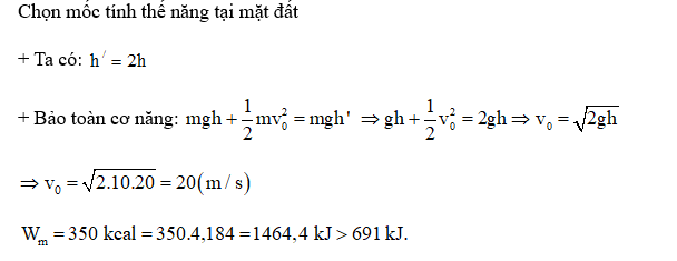 Bỏ qua mất mát năng lượng khi va chạm, vận tốc ném vật là bao nhiêu? (ảnh 1)