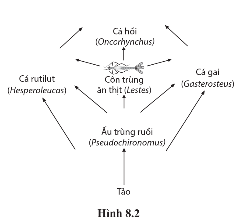 Có bao nhiêu loài sinh vật đóng vai trò là bậc dinh dưỡng bậc 2 trong nước thức ăn trên? (ảnh 1)