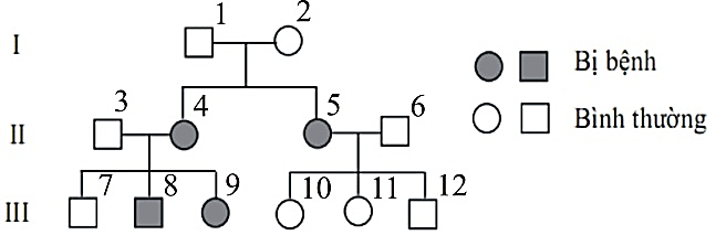 Sơ đồ phả hệ của một gia đình sau đây bị bệnh này: (ảnh 2)
