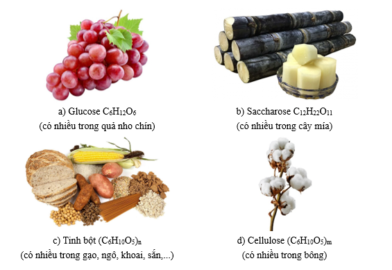 a) Carbohydrate được tạo thành từ những nguyên tố nào? b) Viết lại công thức phân tử của mỗi chất dưới dạng Cn(H2O)m. (ảnh 1)