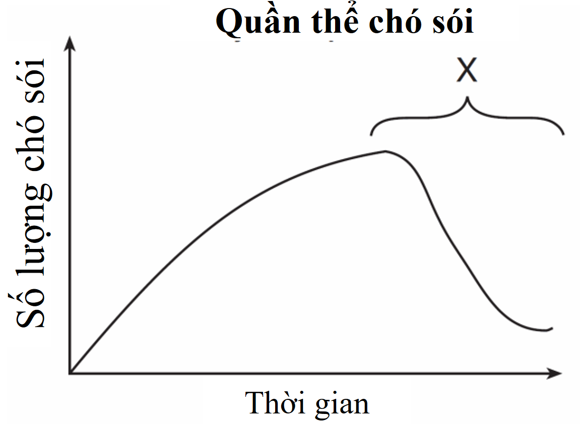 Hãy viết liền các nhân tố (từ nhỏ đến lớn) có khả năng chi phối sự biến động số lượng cá thể trong quần thể sói tại điểm X. (ảnh 1)