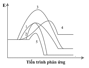 Số phản ứng toả nhiệt là bao nhiêu ? (ảnh 1)