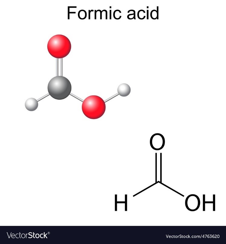 Viết phương trình hoá học của các phản ứng xảy ra khi cho formic acid tác dụng với KOH, Mg và CaCO3. (ảnh 2)