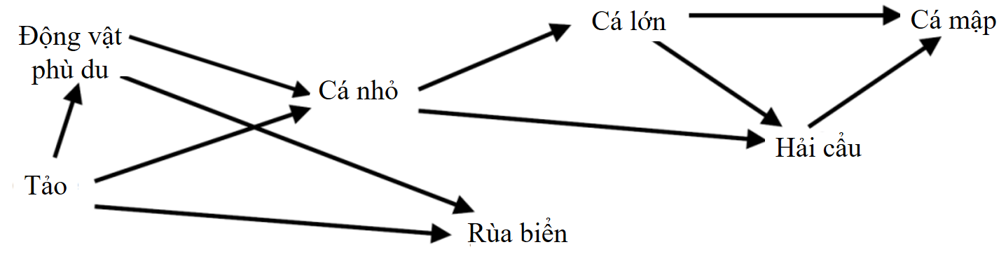 Có bao nhiêu mối quan hệ tiêu thụ trực tiếp trong lưới thức ăn trên? (ảnh 1)