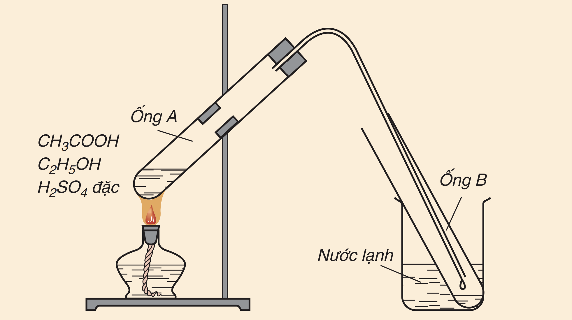 Tiến hành thí nghiệm và thảo luận (ảnh 1)