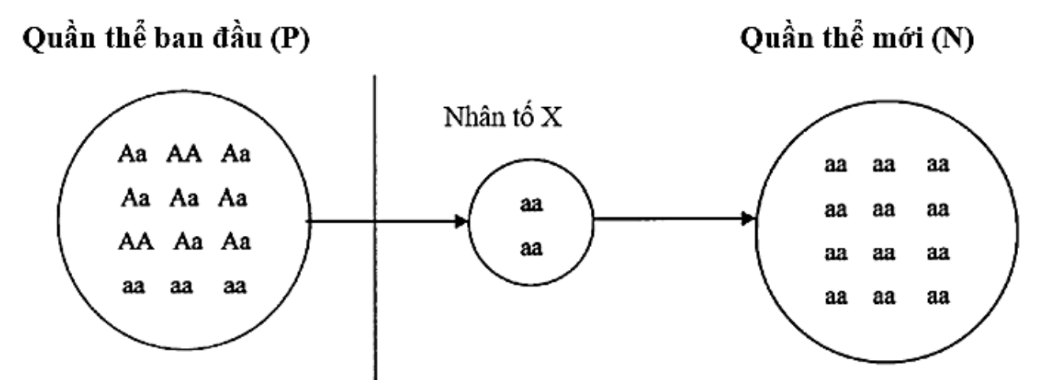 Quá trình này không chịu ảnh hưởng bởi nhân tố hoặc hiện tượng nào sau đây? 	 (ảnh 1)