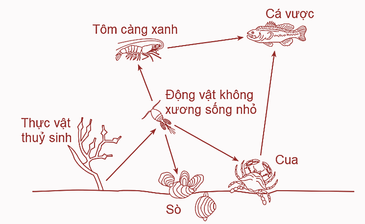 Trong số các phát biểu dưới đây, phát biểu nào đúng?  (ảnh 1)