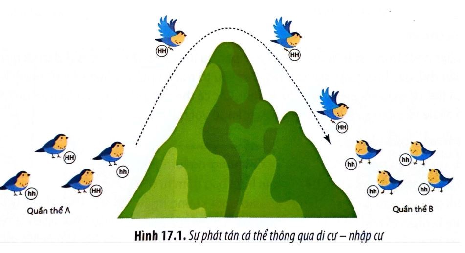 Nhận định sau đây về hình này là sai? (ảnh 1)