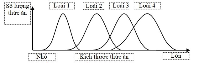 Phân tích hình 2 và cho biết nhận định nào dưới đây không đúng?  (ảnh 1)