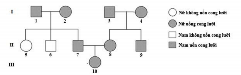 Theo lí thuyết, xác suất đứa con (III-10) có kiểu gene dị hợp là bao nhiêu? (ảnh 1)