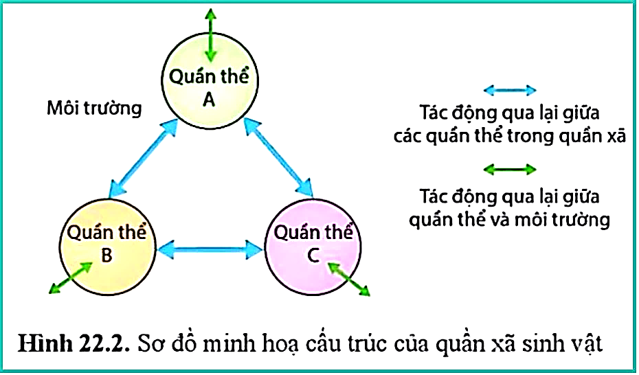 Nhận định sau đây về hình này là Sai? (ảnh 1)