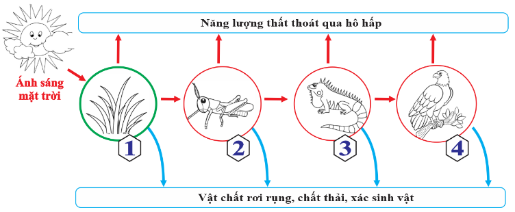 Nhận định sau đây về hình trên là Đúng? (ảnh 1)