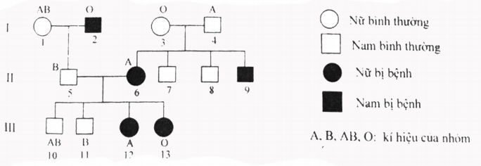 Có thể biết chính xác kiểu gene của bao nhiêu người trong phả hệ trên? (ảnh 1)